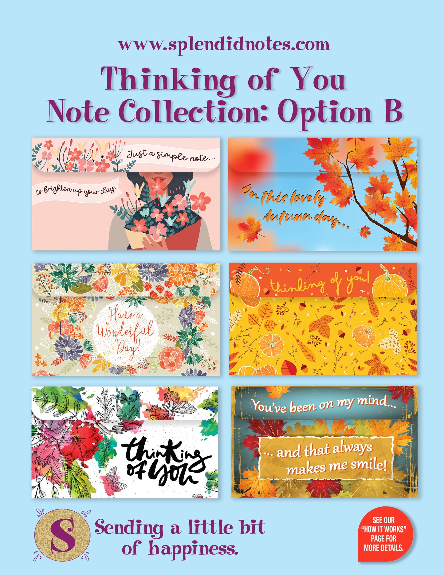 Thinking of You Note Collection-Option B